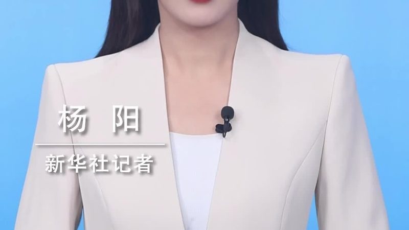 互联网技术基础教程PDF的价值与应用场景